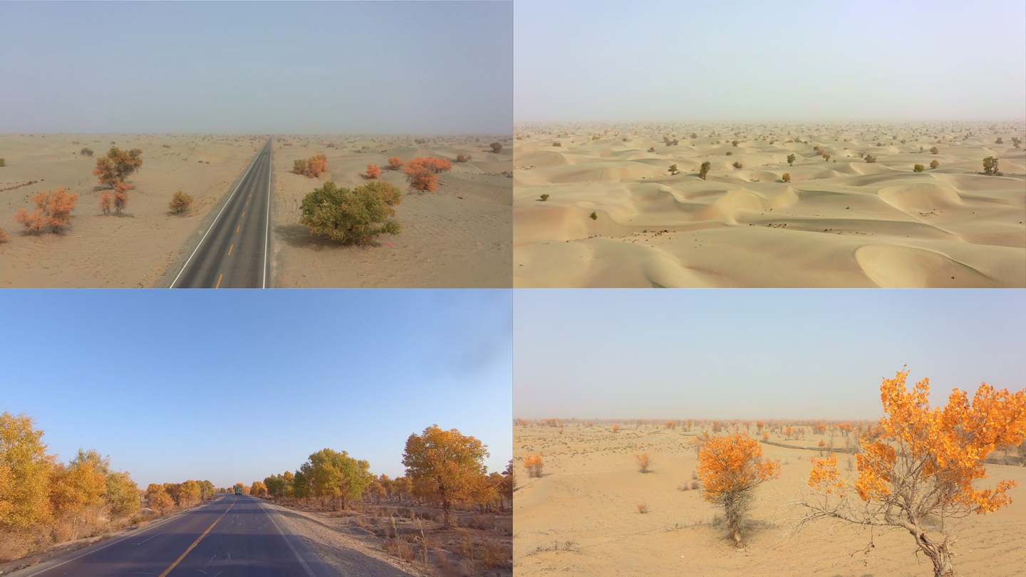 新疆旅游地-沙漠公路（秋景）