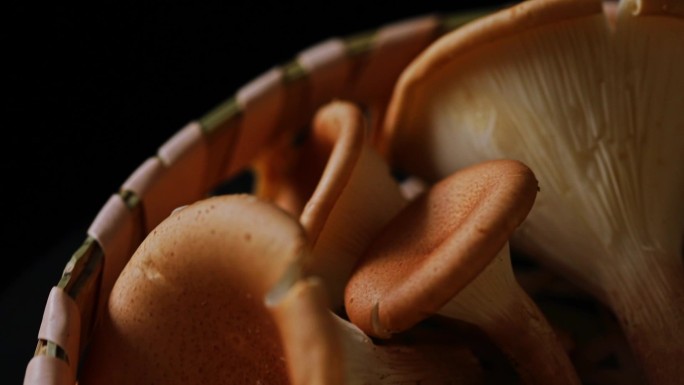 竹篮里的蘑菇猪肚菇