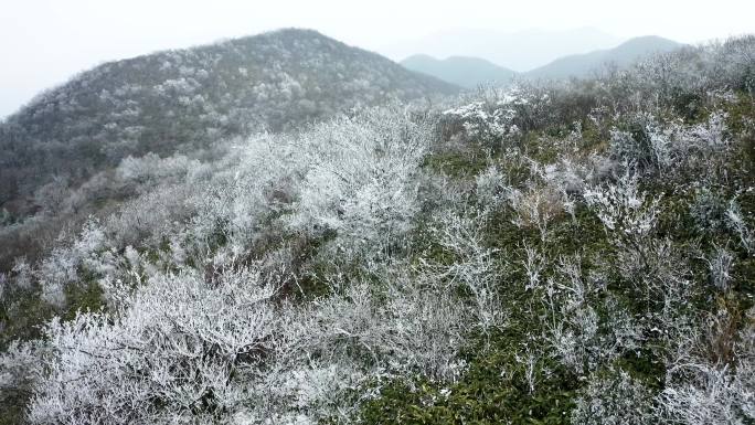 杭州鸬鸟窑头山雾凇雪景