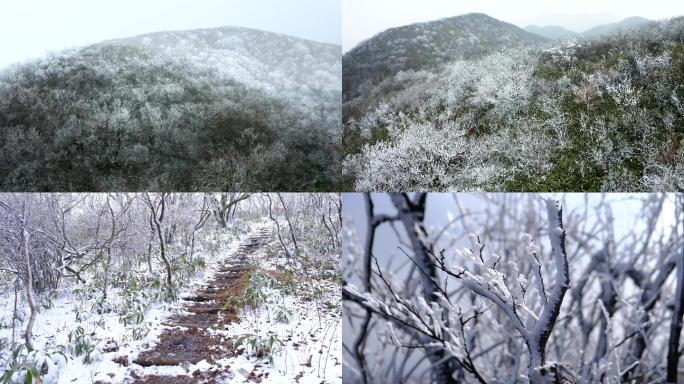 杭州鸬鸟窑头山雾凇雪景