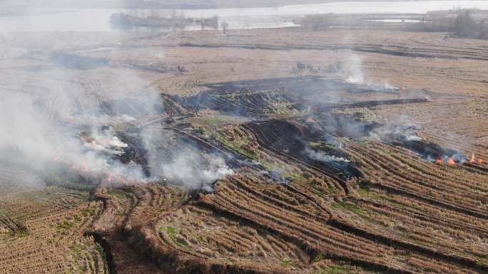4K·焚烧秸秆环境污染农村破坏
