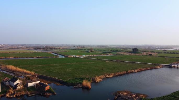 泰州兴化新农村建设农田蔬菜大棚航拍