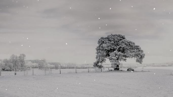 高清动态广场舞下雪背景三