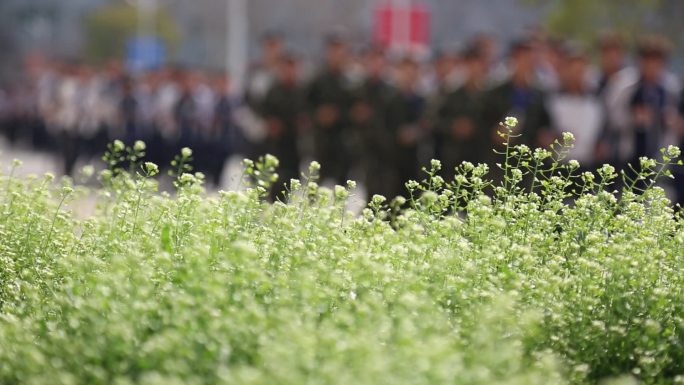 花草学生队伍跑步喊口号