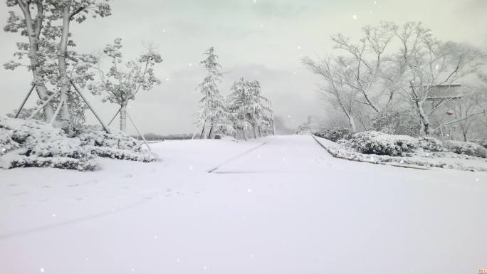 高清动态广场舞下雪背景二