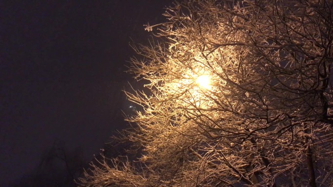 冬天城市雪景 雪景夜晚