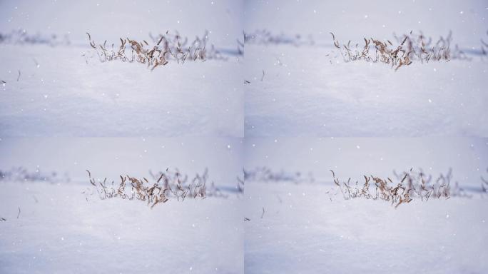 广场舞高清动态下雪背景一