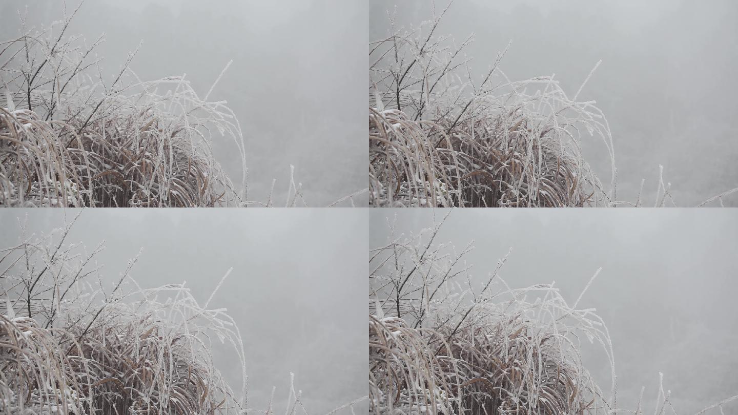 满山遍野的冰挂雾凇05