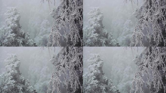 满山遍野的冰挂雾凇03