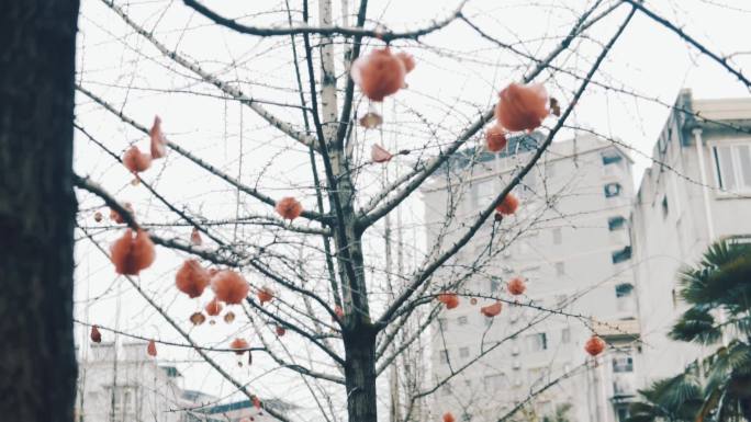 疫情期间的春节人流稀少小区