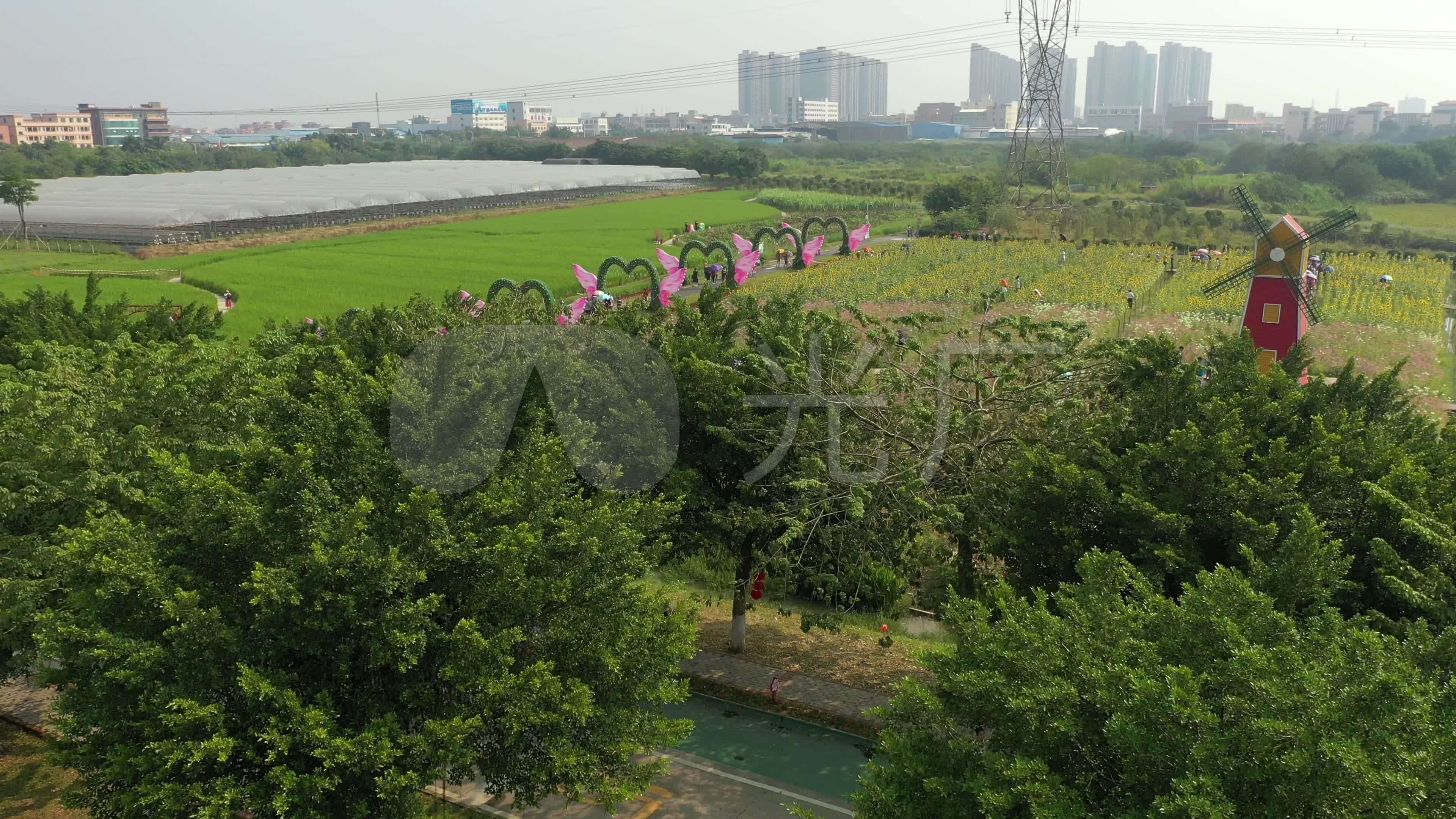 佛山南海区丹灶康园翰林湖_3840X2160_高清视频素材下载(编号:10141920)_实拍视频_光厂(VJ师网) www.vjshi.com