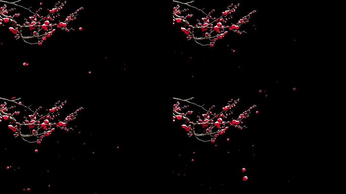 4K落雪红梅飘落AE源文件