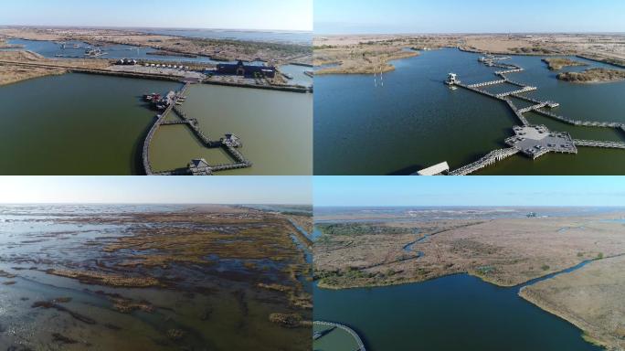 东营黄河入海口湿地公园航拍4K素材