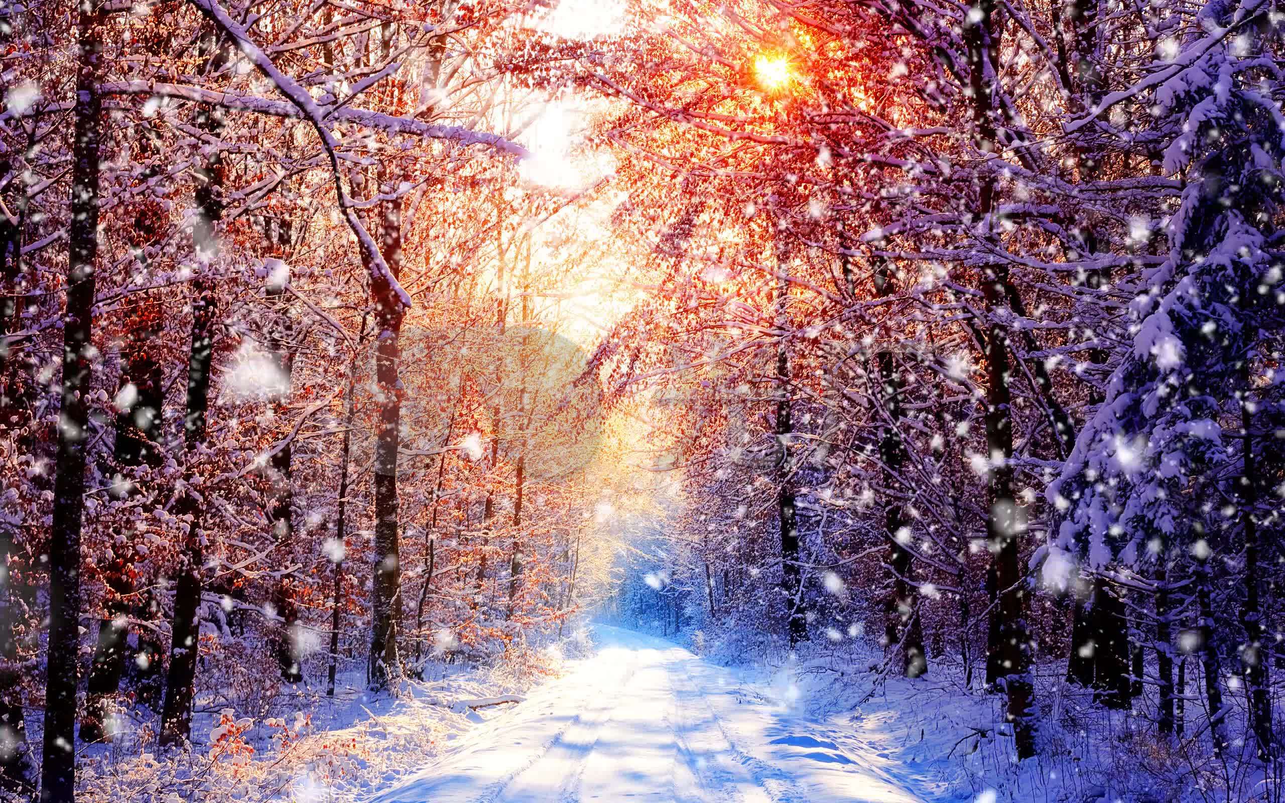 温暖冬天的诗句_温暖你的冬_冬天温暖句子