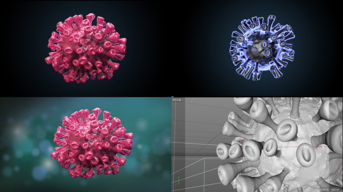 写实冠状病毒C4D模型