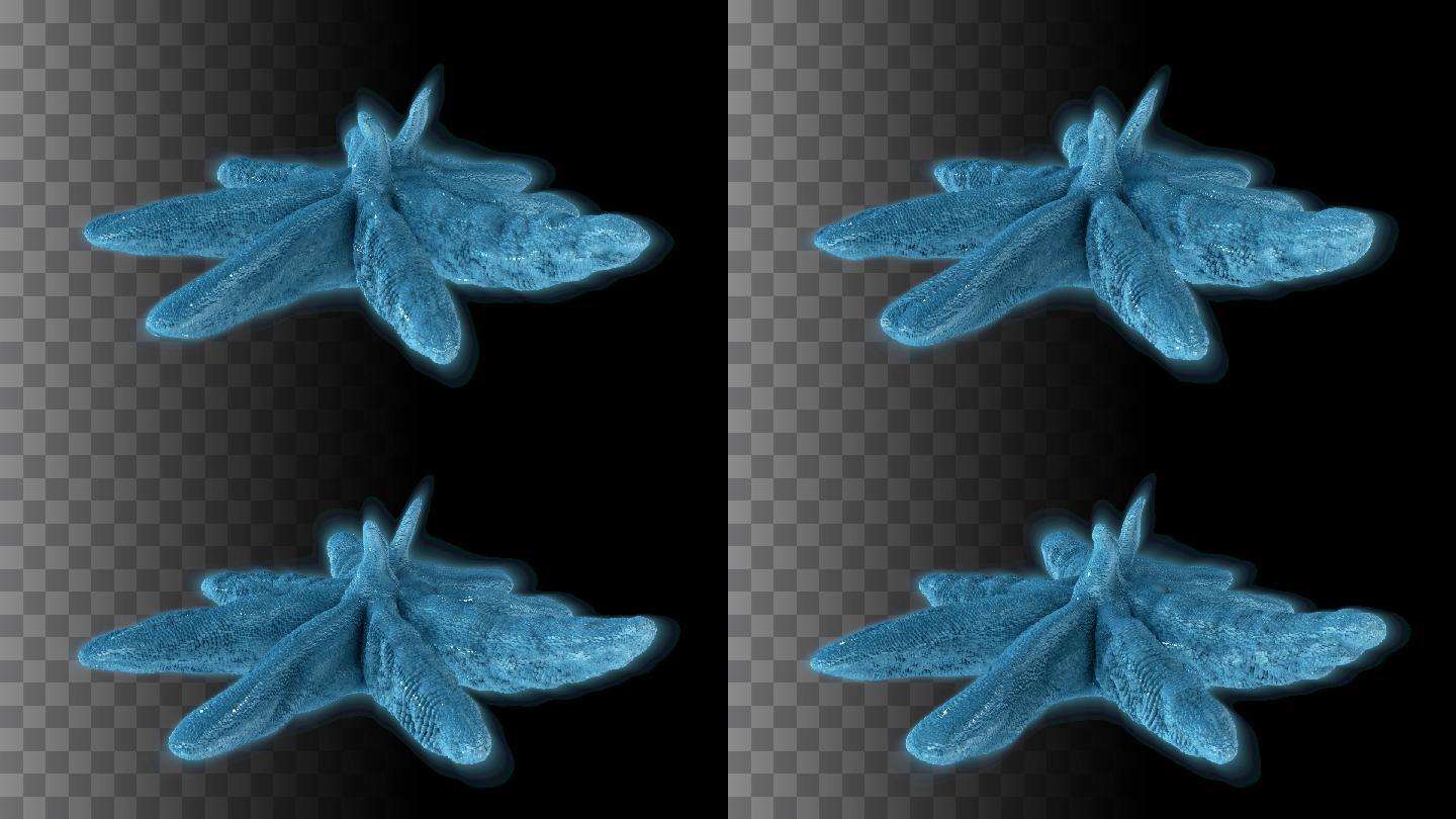 变形虫微生物3D动画-带通道
