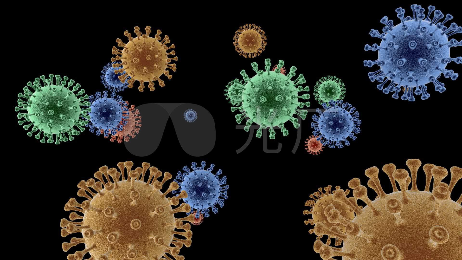 【病毒学综述】SARS-CoV-2(2019-nCoV)病毒（新冠病毒）进入细胞的方式——通过ACE2 - 知乎