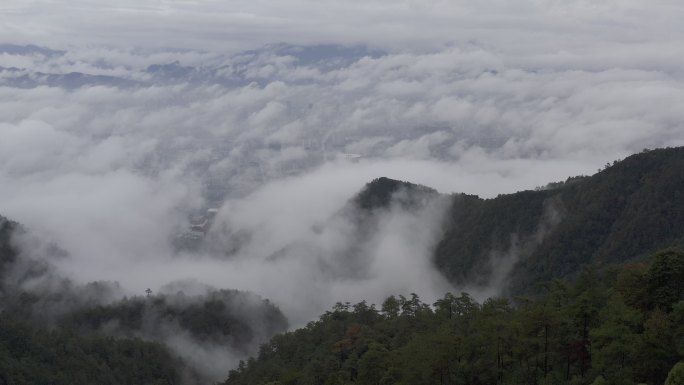 丽水