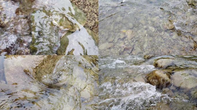 小溪流各种水流4k拍摄