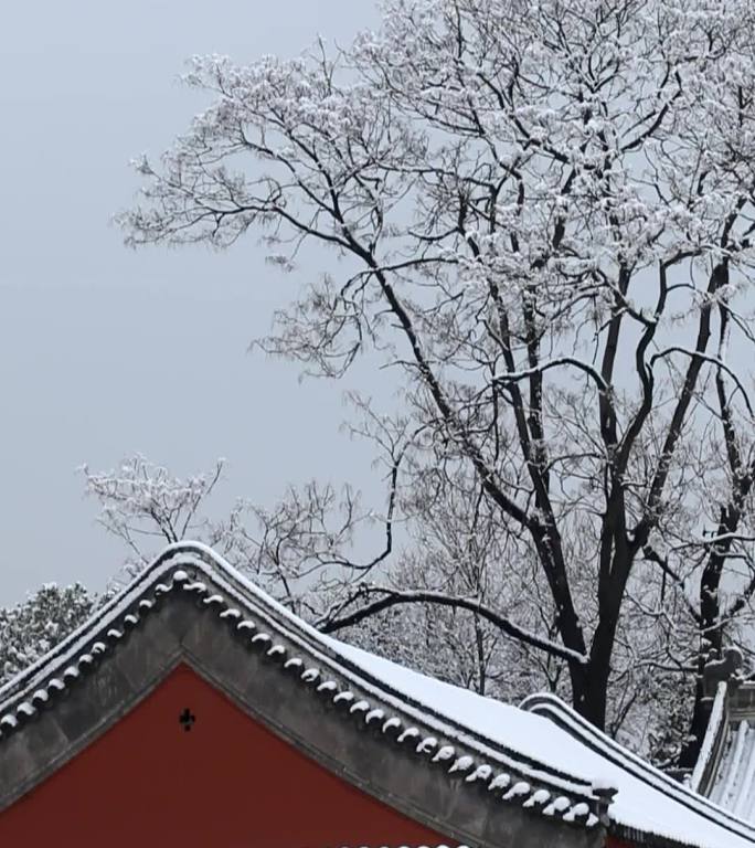 竖拍冬天故宫的雪景