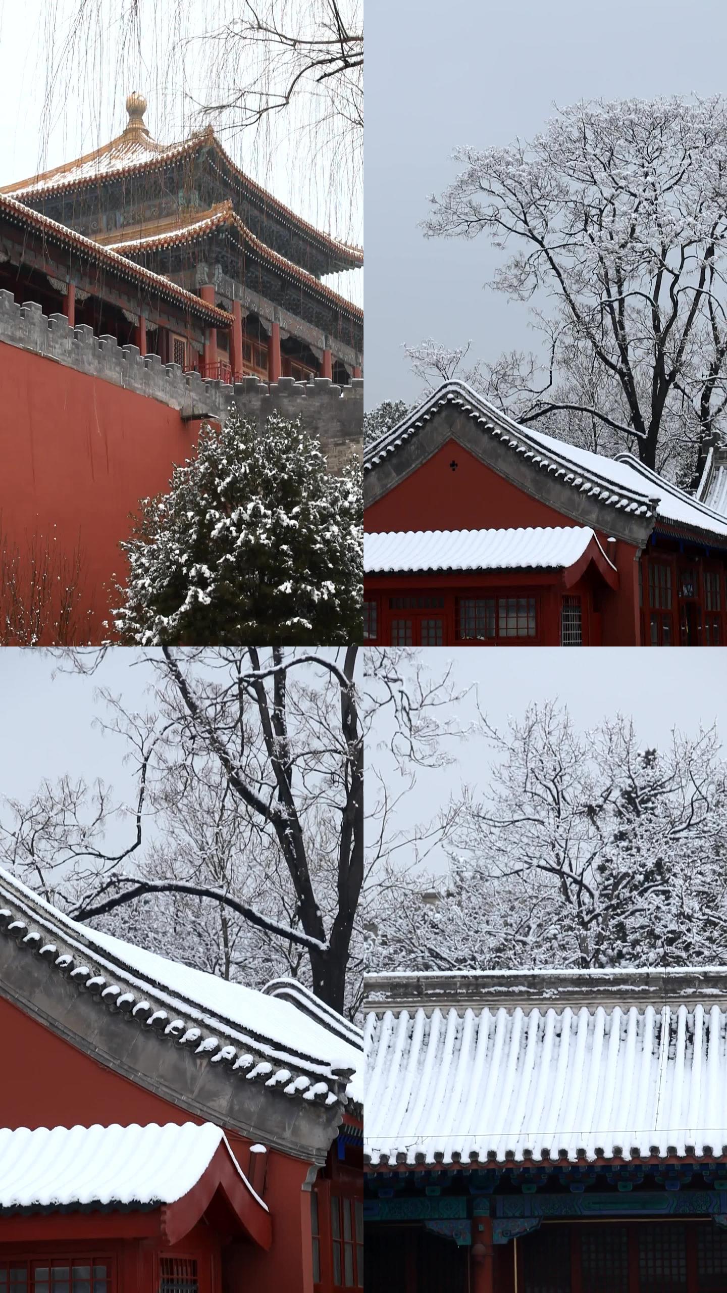竖拍冬天故宫的雪景