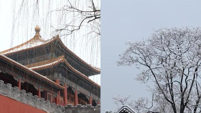 竖拍冬天故宫的雪景