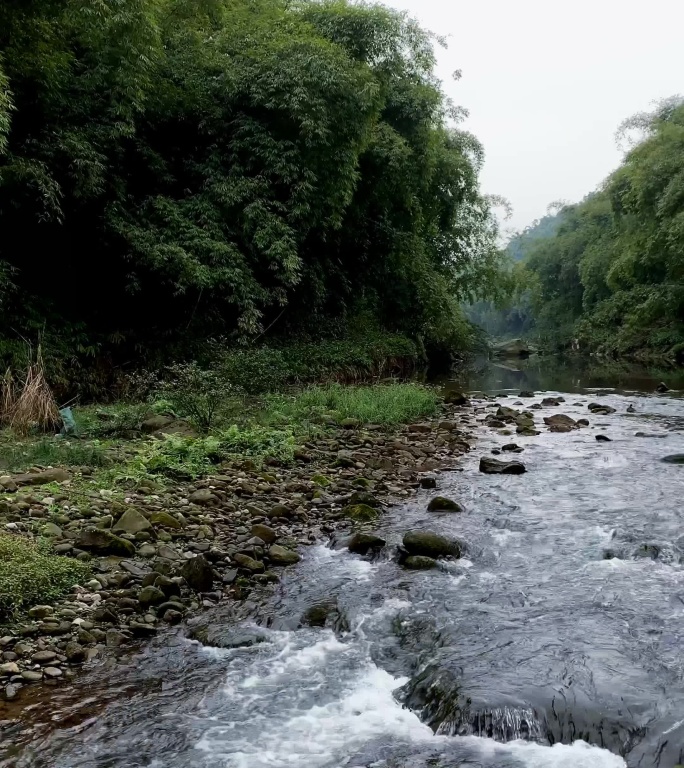 小河淌水流水溪水2（4K）竖屏