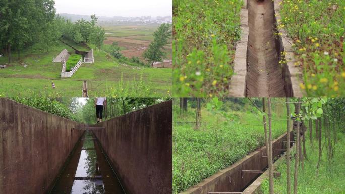 水库排水道、农村、小花、农田、灌溉、水渠