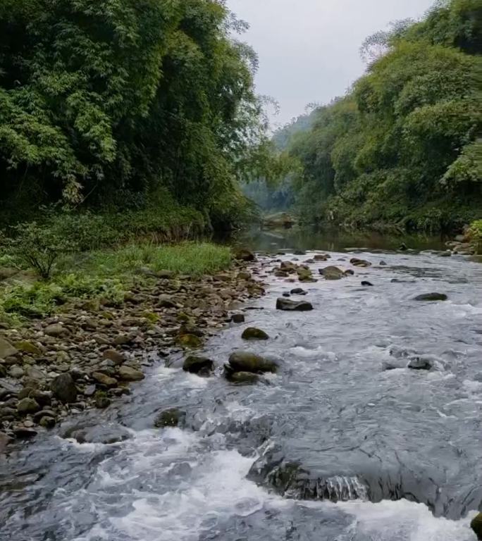 小河淌水流水溪水21（1080P）慢镜头