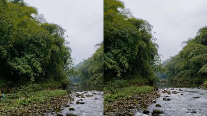 小河淌水流水溪水21（1080P）慢镜头