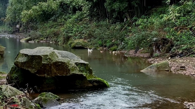 小河淌水流水溪水41（4K）