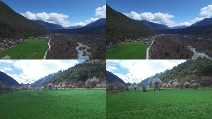 航拍西藏林芝桃花沟8