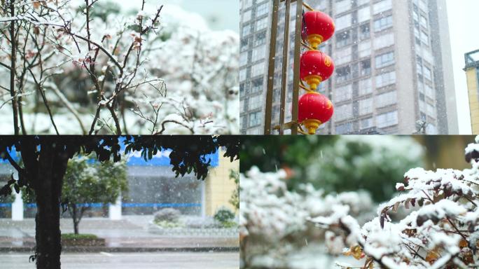 实拍冬天雪景合集4k素材