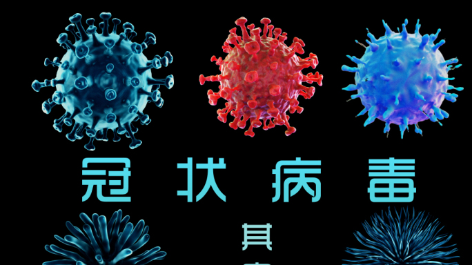 新型冠状病毒——其它类型病毒【带通道】