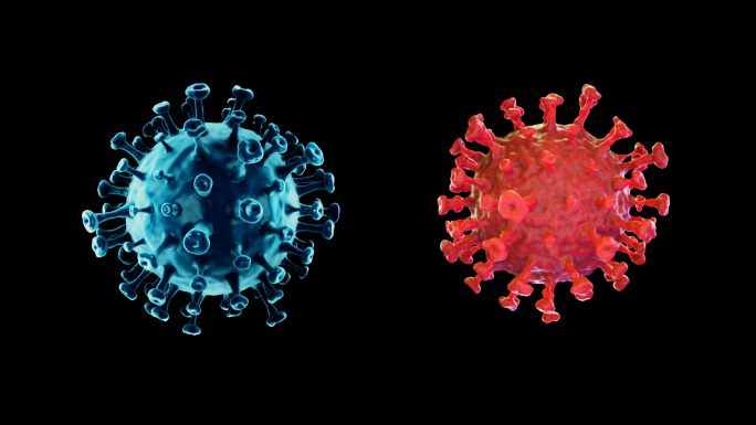 新型冠状病毒——其它类型病毒【带通道】