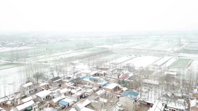 4k航拍农村农田雪景