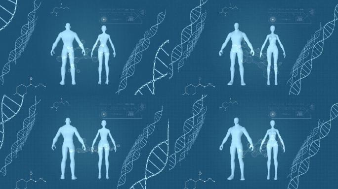医疗生物遗传DNA人体扫描身体检测背景