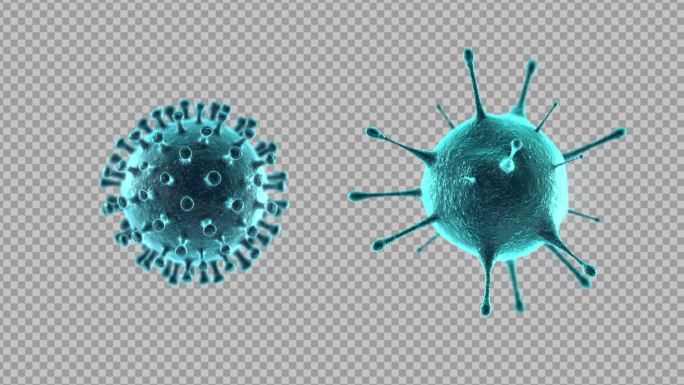 2种病毒循环自转透明通道视频