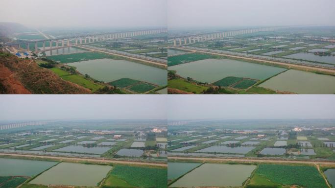 陕西黄河湿地公园04
