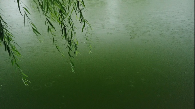 下雨雨景