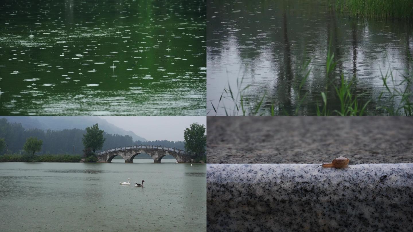 下雨雨景