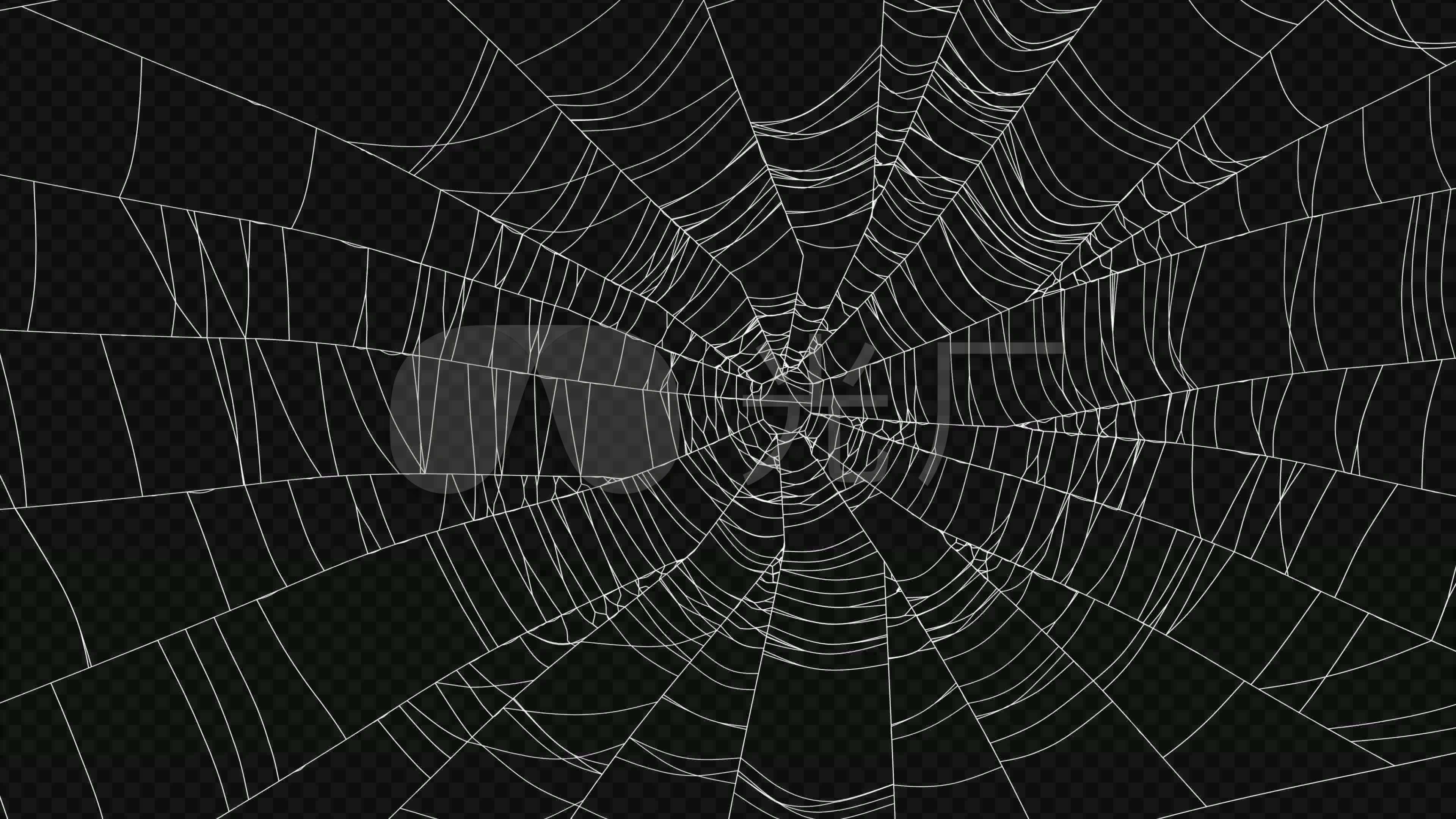 蜘蛛-圆蛛4k_3840X2160_高清视频素材下载(编号:3781585)_实拍视频_光厂(VJ师网) www.vjshi.com