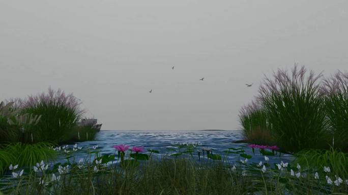 湿地河边湖畔打雷打闪下雨水鸟海鸥