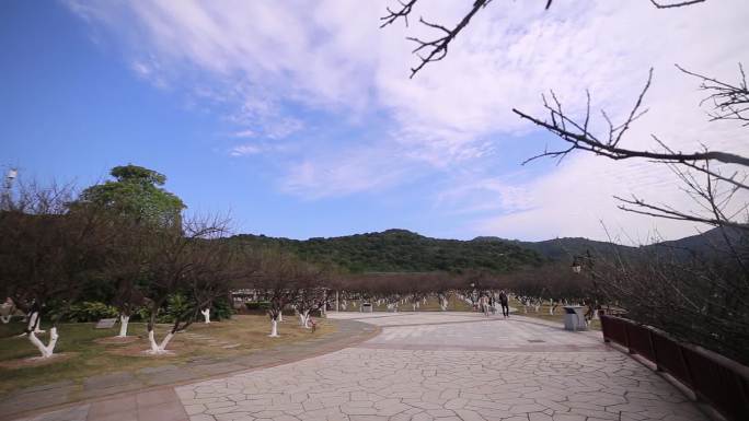 广州黄埔萝岗香雪公园