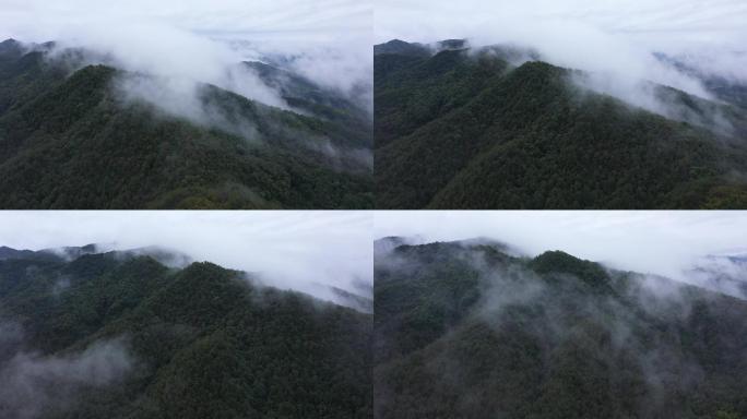 湿润高山云雾