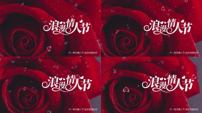 情人节红玫瑰214表白表达爱意示爱告白促
