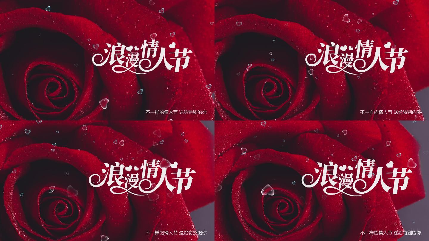 情人节红玫瑰214表白表达爱意示爱告白促