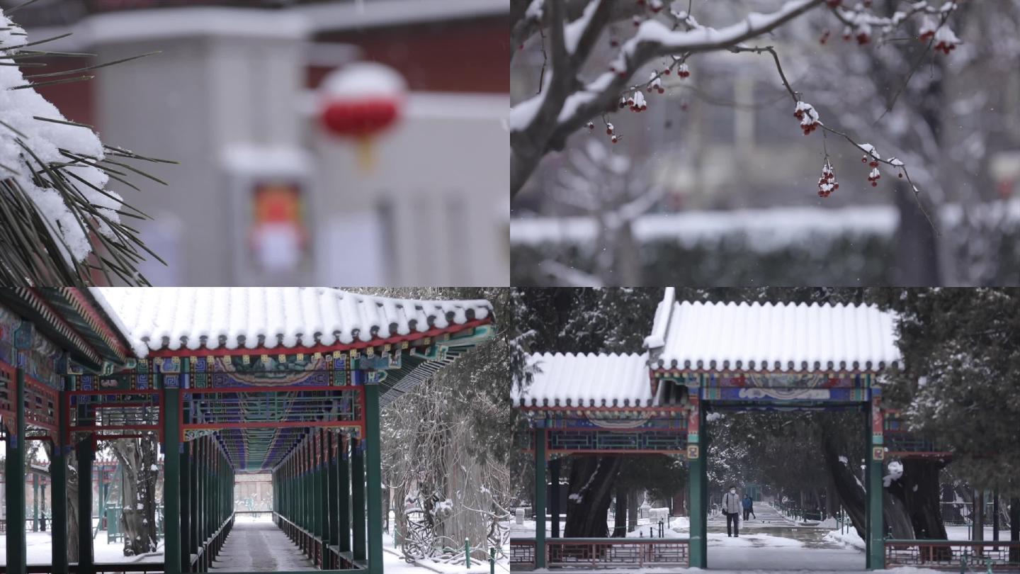 北京下雪，积雪，大红灯笼高高挂，节日喜庆