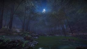 竹林夜晚视频素材下载 竹林夜晚ae模板下载 Vj师网 竹林夜晚视频素材下载 竹林夜晚ae模板下载 Vj师网