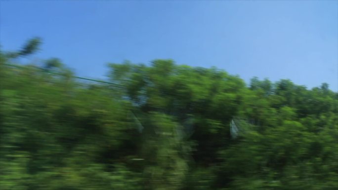 火车上沿途的风景铁轨树木田地大山